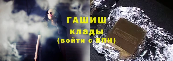 индика Арсеньев