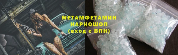 прущие грибы Покачи