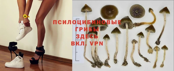 спайс Балабаново