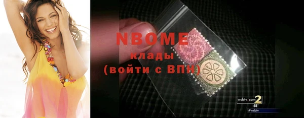 индика Арсеньев