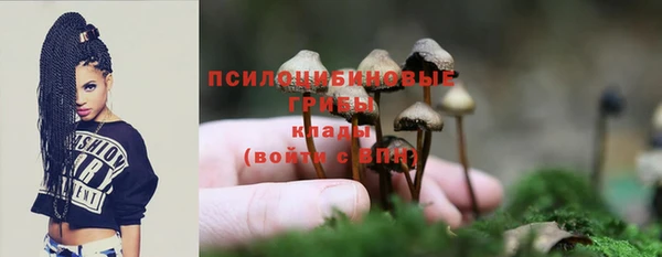 индика Арсеньев