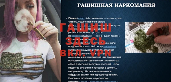 индика Арсеньев