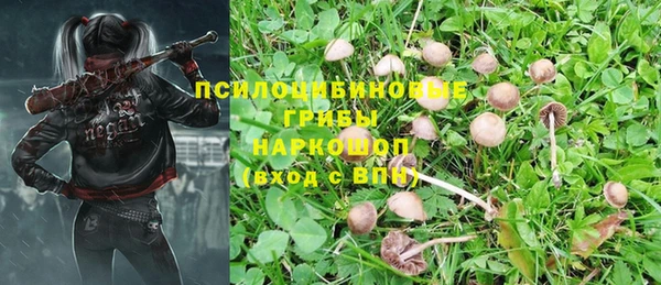прущая мука Аркадак
